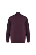 Load image into Gallery viewer, Bordeaux Raglan Quarter Zip Sweater
